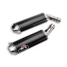 Sportauspuff Termignoni Ducati 848 1098 1198