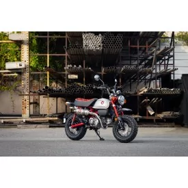 Echappement Yoshimura Honda Monkey
