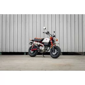 Echappement Yoshimura Honda Monkey