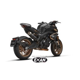 Sportauspuff Exan Cf Moto 800 NK (CF800-7)
