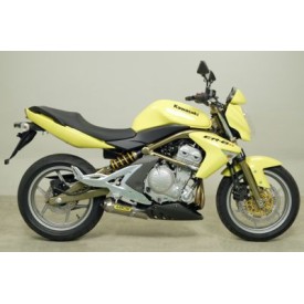 Exhaust Arrow Kawasaki ER-6N