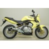 Exhaust Arrow Kawasaki ER-6N