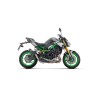 Sportauspuff Arrow Kawasaki Z900