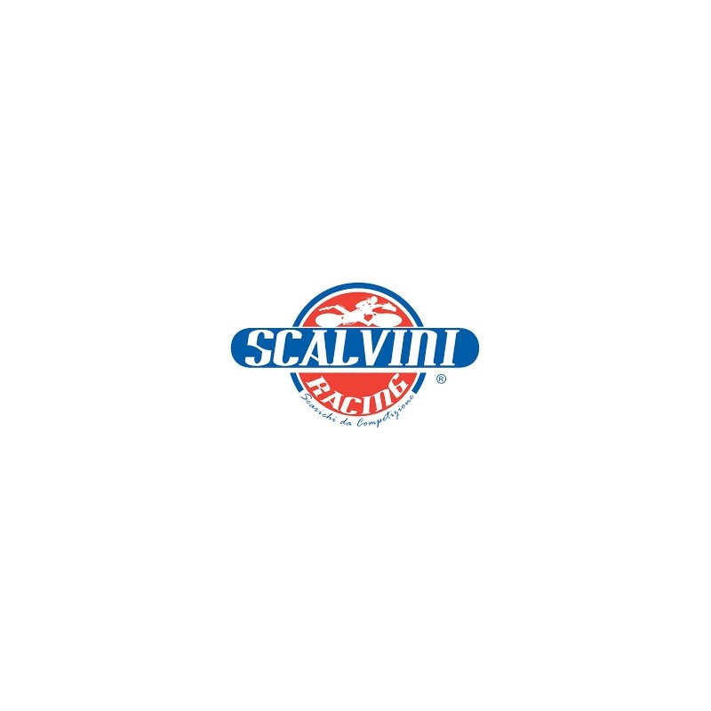 Scalvini Racing Husqvarna SMS 125 Scalvini Racing Husqvarna SMS 125