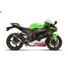 Termignoni Kawasaki Zx10r 2020 - 2025