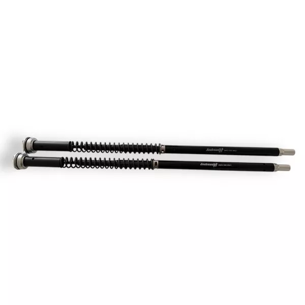 Cartuchos de Horquilla Ktm 390 Duke Misano EVO 2 Andreani 305/KT24E