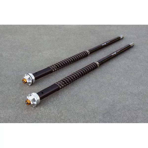 Fork Cartridges Moto Guzzi Audace 1400 Misano EVO Andreani 105/G12E
