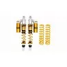 Federbein Ohlins SA2642 - Honda SH 350