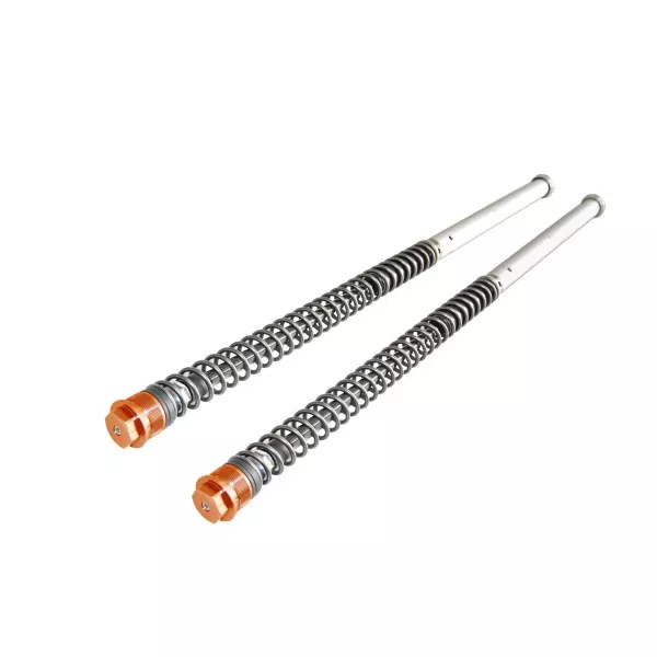 Cartucce Regolabili Andreani KTM SX 65
