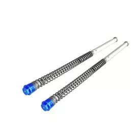 Cartucce Regolabili Andreani KTM SX 65 / Husqvarna TC 65 / Gas Gas MC 65 - tappo blu