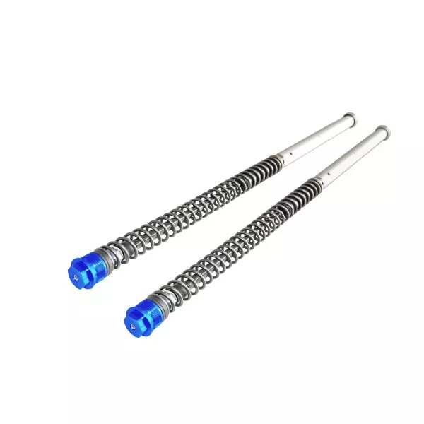 Cartuchos Regulables Andreani KTM SX 65 / Husqvarna TC 65 / Gas Gas MC 65 - tapón azul