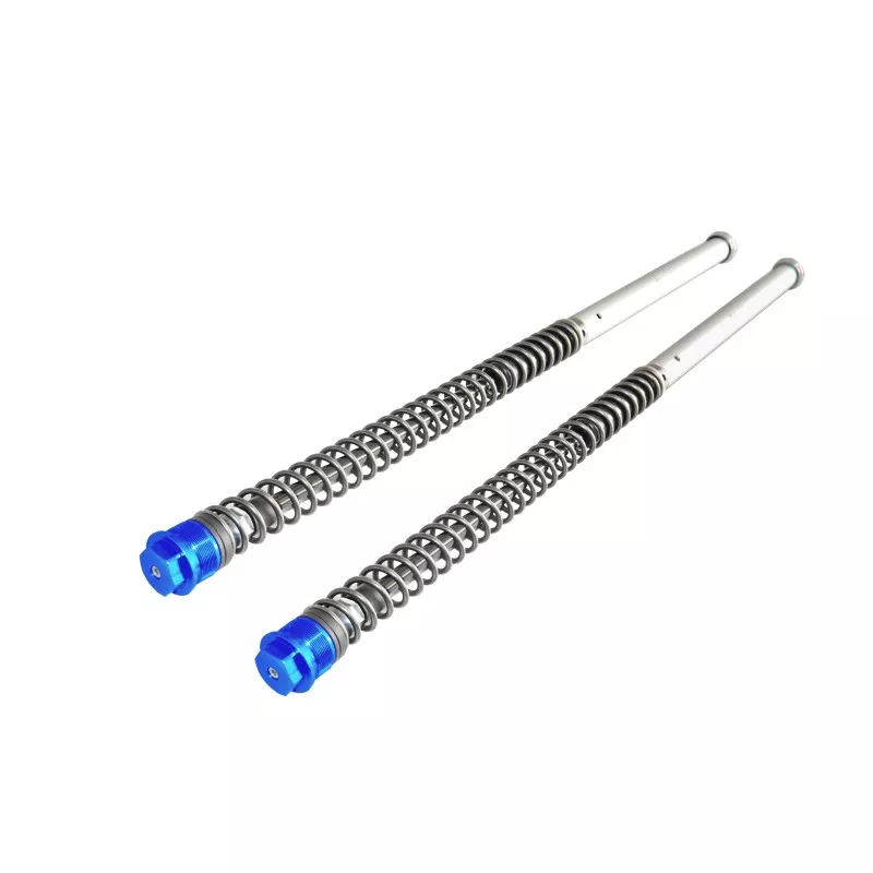 Einstellbare Gabelpatronen Andreani KTM SX 65 / Husqvarna TC 65 / Gas Gas MC 65 - blaue Kappe Einstellbare Gabelpatronen Andreani KTM SX 65 / Husqvarna TC 65 / Gas Gas MC 65 - blaue Kappe