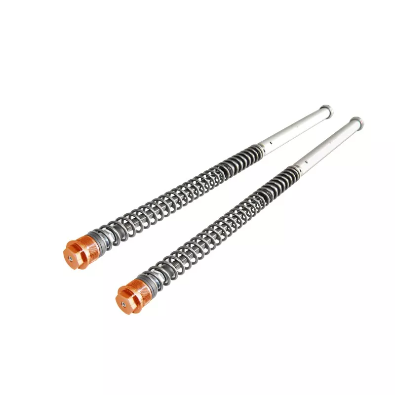 Einstellbare Gabelpatronen Andreani KTM SX 65 / Husqvarna TC 65 / Gas Gas MC 65 - orange Kappe Einstellbare Gabelpatronen Andreani KTM SX 65 / Husqvarna TC 65 / Gas Gas MC 65 - orange Kappe