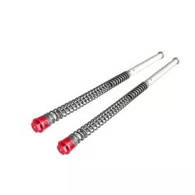 Cartuchos Regulables Andreani KTM SX 65 / Husqvarna TC 65 / Gas Gas MC 65 - tapón rojo