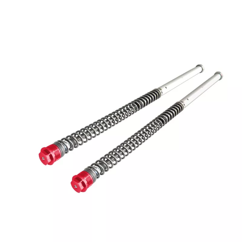 Adjustable Fork Cartridges Andreani KTM SX 65 / Husqvarna TC 65 / Gas Gas MC 65 - red cap Adjustable Fork Cartridges Andreani KTM SX 65 / Husqvarna TC 65 / Gas Gas MC 65 - red cap