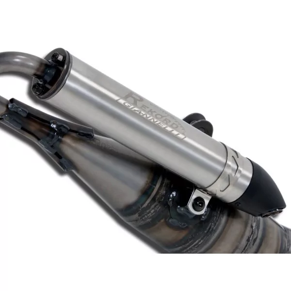 Giannelli Peugeot Vivacity 50 31617RK Rekord