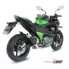Mivv GP Kawasaki Z800
