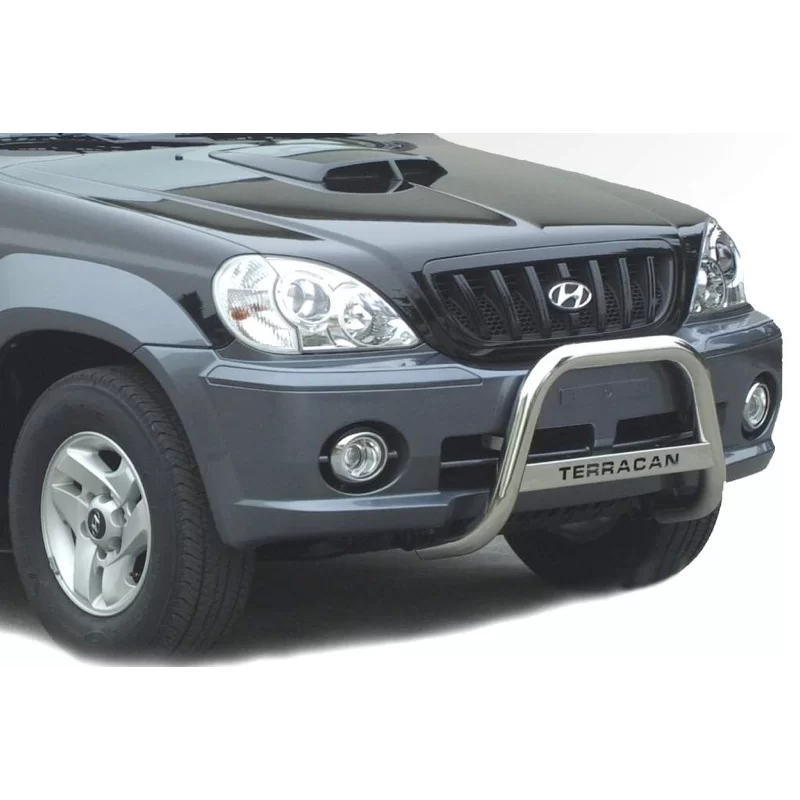 Bull Bar Hyundai Terracan