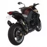 Exan Kawasaki Z 1000 Ovale Carbon Cap