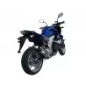 Exan Kawasaki Z 750 Ovale Carbon Cap