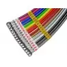 Hel Performance TAL-3-027 Talbot Horizon 1.9D