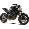 Hp Corse GP07 Ducati Monster 797
