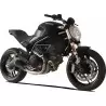 Hp Corse GP07 Ducati Monster 797