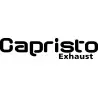 Capristo Audi S5 V6 - V8