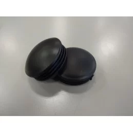 Tappi Misutonida