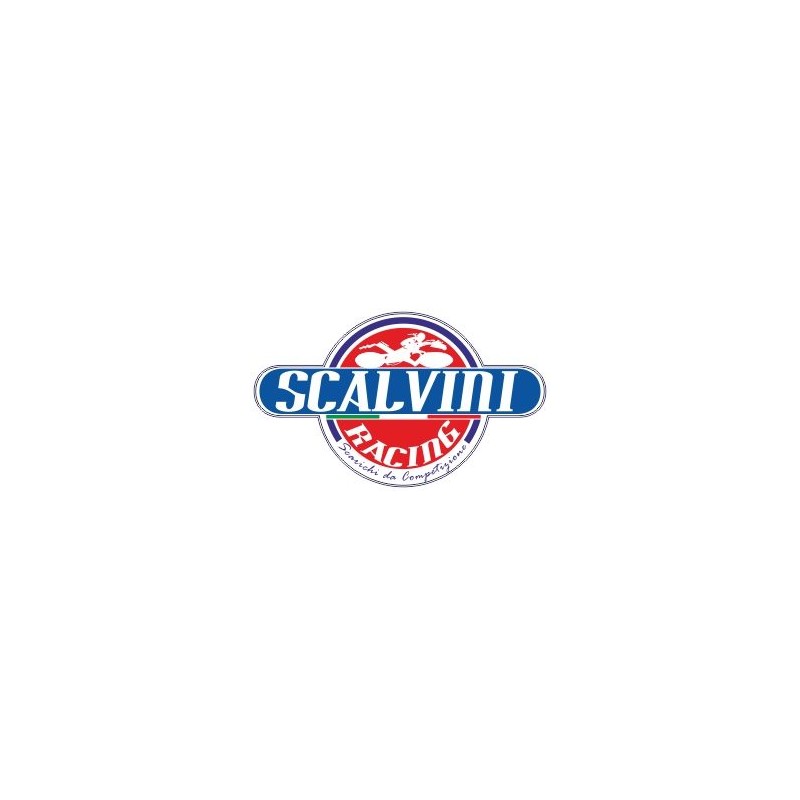 Scalvini Racing Beta RR 125 Racing 001.074020 Scalvini Racing Beta RR 125 Racing 001.074020