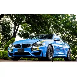 IPE F1 BMW F80 M3 F82/F83 M4 F1 2014-