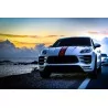 IPE F1 Porsche 95B Macan 3.0 S/3.0 GTS/3.6 Turbo 2014-