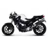 Termignoni BMW F 800 R