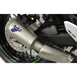 Termignoni Kawasaki Z 900 RS