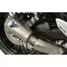 Termignoni Kawasaki Z 900 RS
