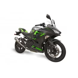 Termignoni Kawasaki Z 400