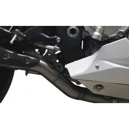 Termignoni Suppressor du Catalyseur Yamaha YZF R1