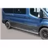 Protezioni Laterali Ford Transit Trail