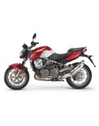 Scarichi Sportivi Aprilia Mana 850