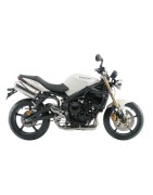 Sportauspuffanlagen Triumph Street Triple 675 07/12