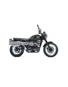 Sportauspuffanlagen Triumph Scrambler