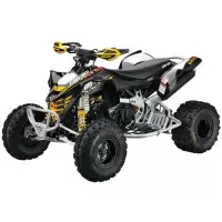 Can-Am Ds 250 450 650