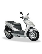 Scarichi Sportivi Honda Dylan 125 150