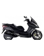 Sportauspuffanlagen Kymco Dink Street 300